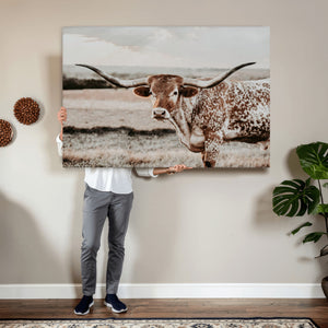 Texas Longhorn Bull Rustic Wall Art Canvas Print