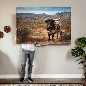 Texas Longhorn Canvas Wall Art Western Bull Desert Moody