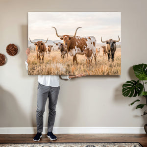 Texas Longhorn Canvas Wall Art, Rustic Farm Animal Photography Print, Farmhouse Country Decor, Western Ranch Art