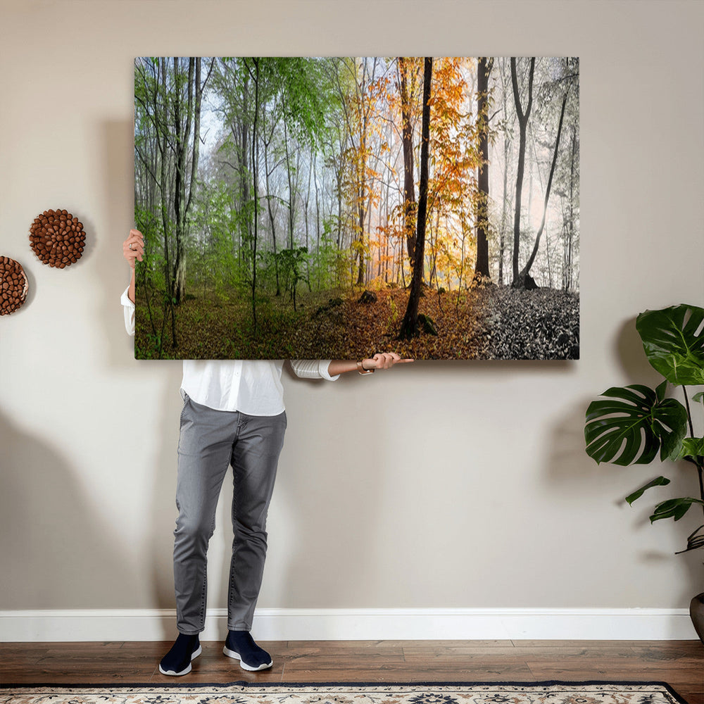 Four Seasons Wall Art Forest Canvas Print – Triptych