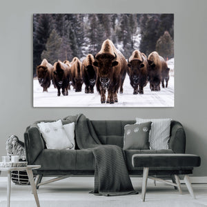 Bison Wall Art Canvas Print- Bison Herd Canvas Wall Art –