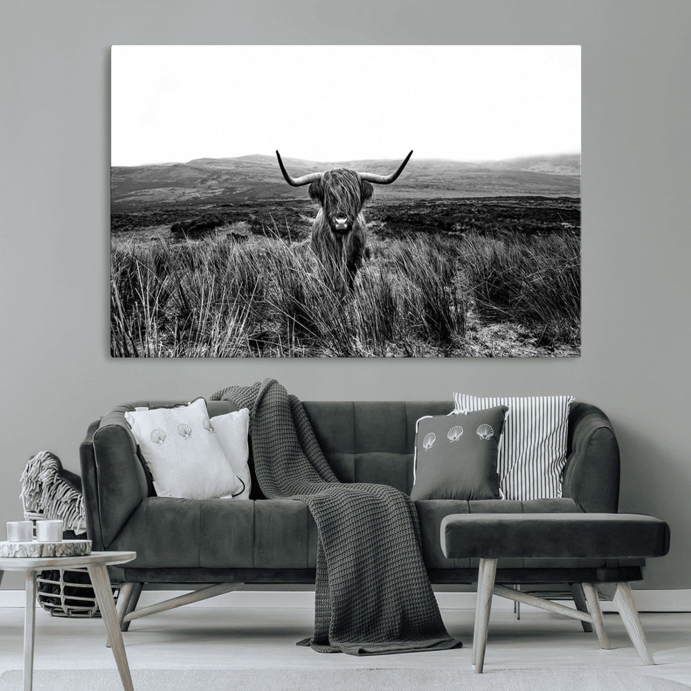 Black and White Highland Cow Canvas Wall Art, Longhorn