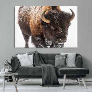 Bison Wall Art Canvas Print For Farmhouse, Wild Animal Wall