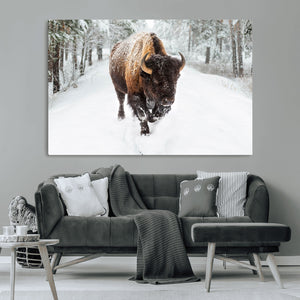 Bison Wall Art Canvas Print For Farmhouse, Animal Canvas