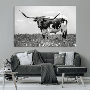 Texas Black White Highland Longhorn Cow Wall Art Canvas