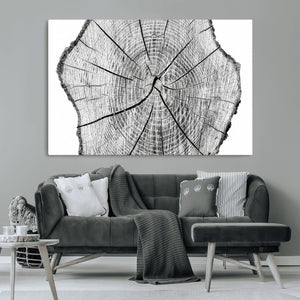 Rustic Tree Ring Wall Art Canvas Print – Framed and Ready to
