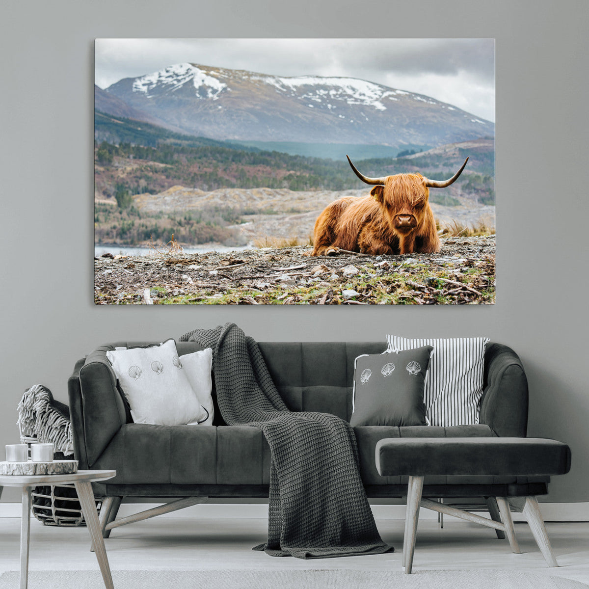 Highland Cow Horn Farm Wall Art Canvas Print