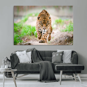 Leopard on the Prowl - Stunning Large Framed Leopard Wall
