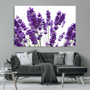 Lavender Flower Wall Art Canvas Print
