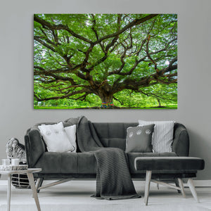 Oak Tree Wall Art Print, Forest Canvas Wall Art for Home and