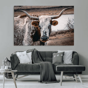 Texas Longhorn Wall Art Canvas Print – Framed Spotted Bull