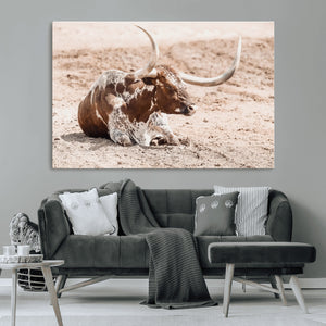 Texas Longhorn Wall Art Canvas Print – Framed Resting Bull