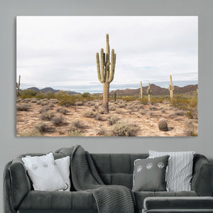 Saguaro Cactus Wall Art – Framed Desert Canvas Artwork,