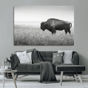 Bison Wall Art Canvas Print – Framed Rustic Wildlife Scene
