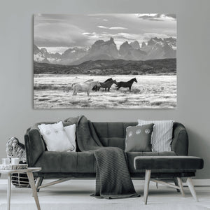 Wild Horses Wall Art Canvas Print – Framed Black and White