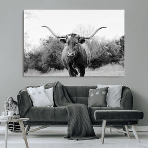Longhorn Photography Wall Art Canvas Print – Framed Western