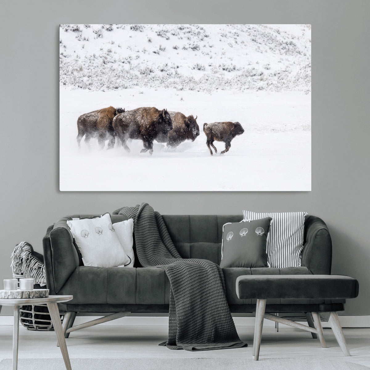 Bison Herd Decor Wall Art Canvas Print – Framed Snowy Bison