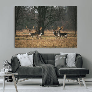 Deer Wall Art Canvas Print – Framed Rustic Wildlife Art
