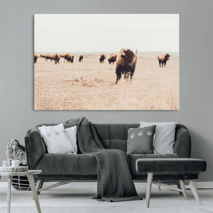 Bison Herd Wall Art Canvas Print, Framed Western Landscape