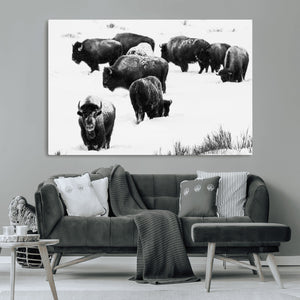 Buffalo Herd Wall Art Canvas Print – Framed Black and White