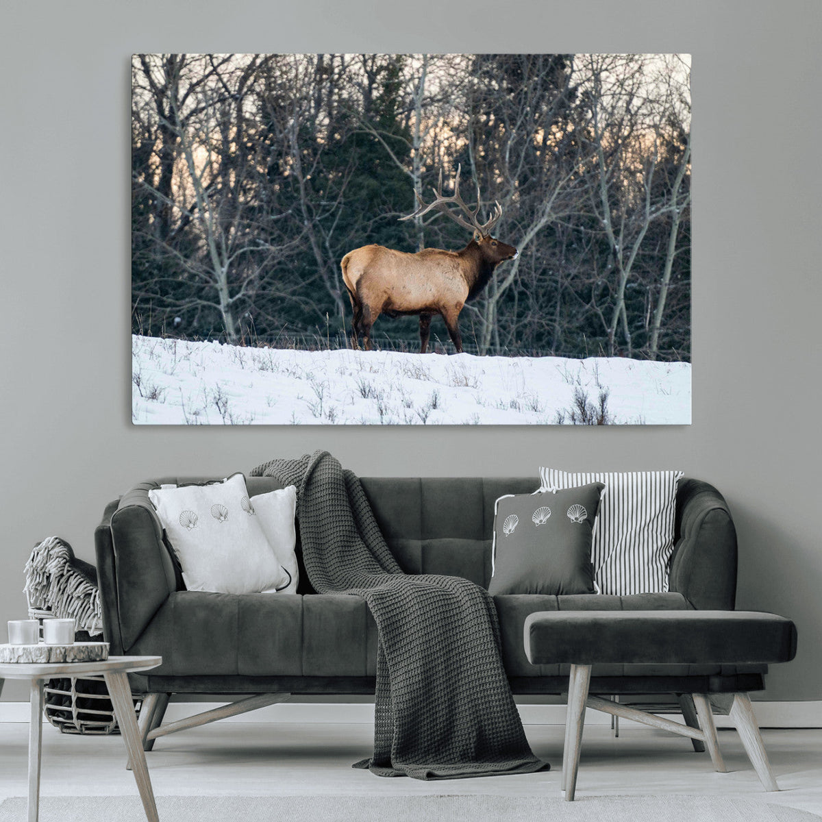 Wild Elk Wall Art Canvas Print – Framed Winter Wildlife