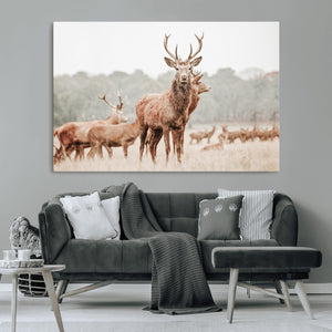 Rustic Nature Wall Art Canvas Print – Stag Woodland Framed
