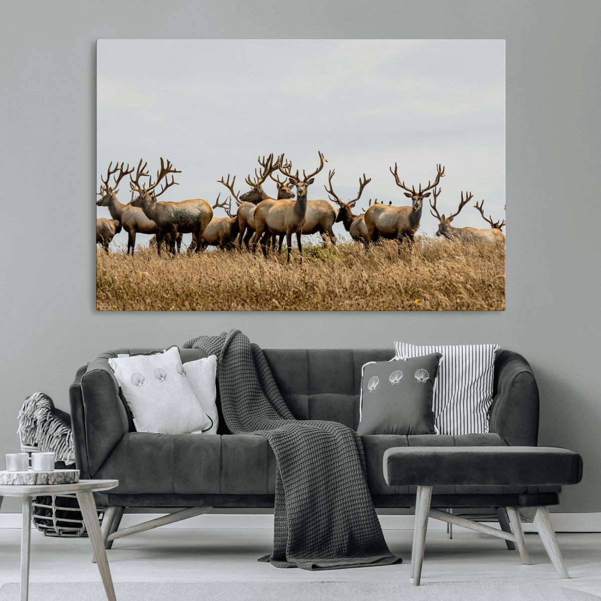 Elk Herd Wall Art Canvas Print – Framed Wildlife Photography