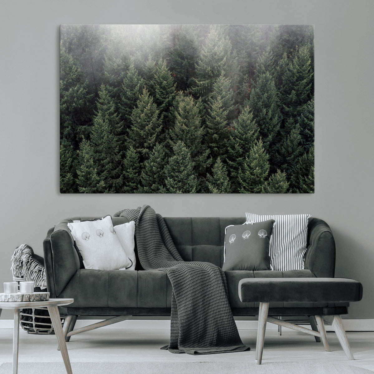 Dense Evergreen Forest Misty Morning Fog Pine Trees Woodland