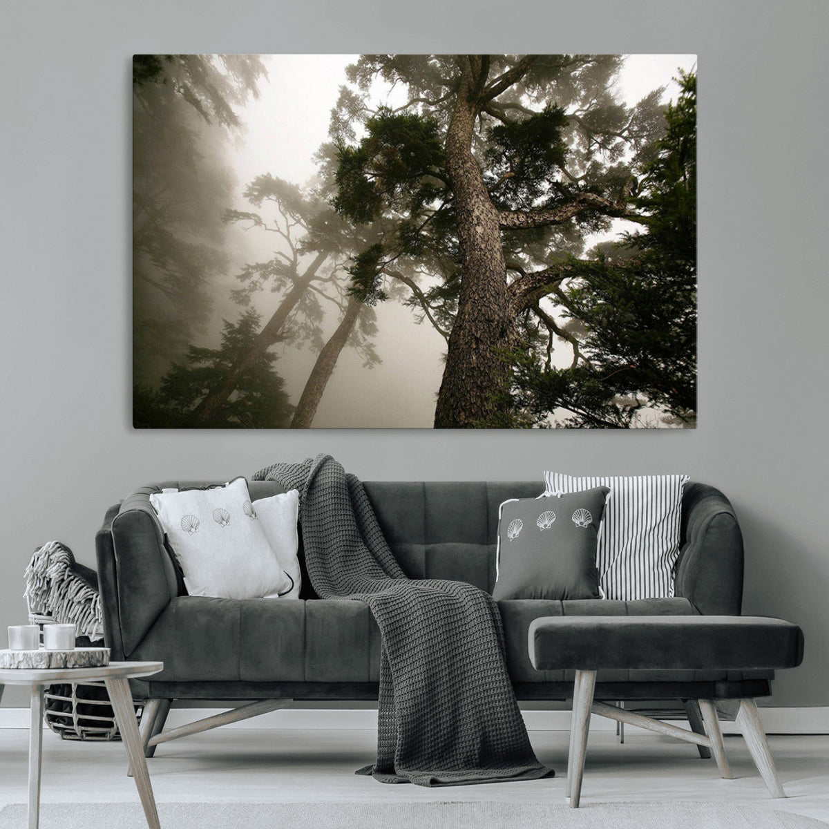 Misty Forest Canvas, Tall Trees Foggy Atmosphere Nature