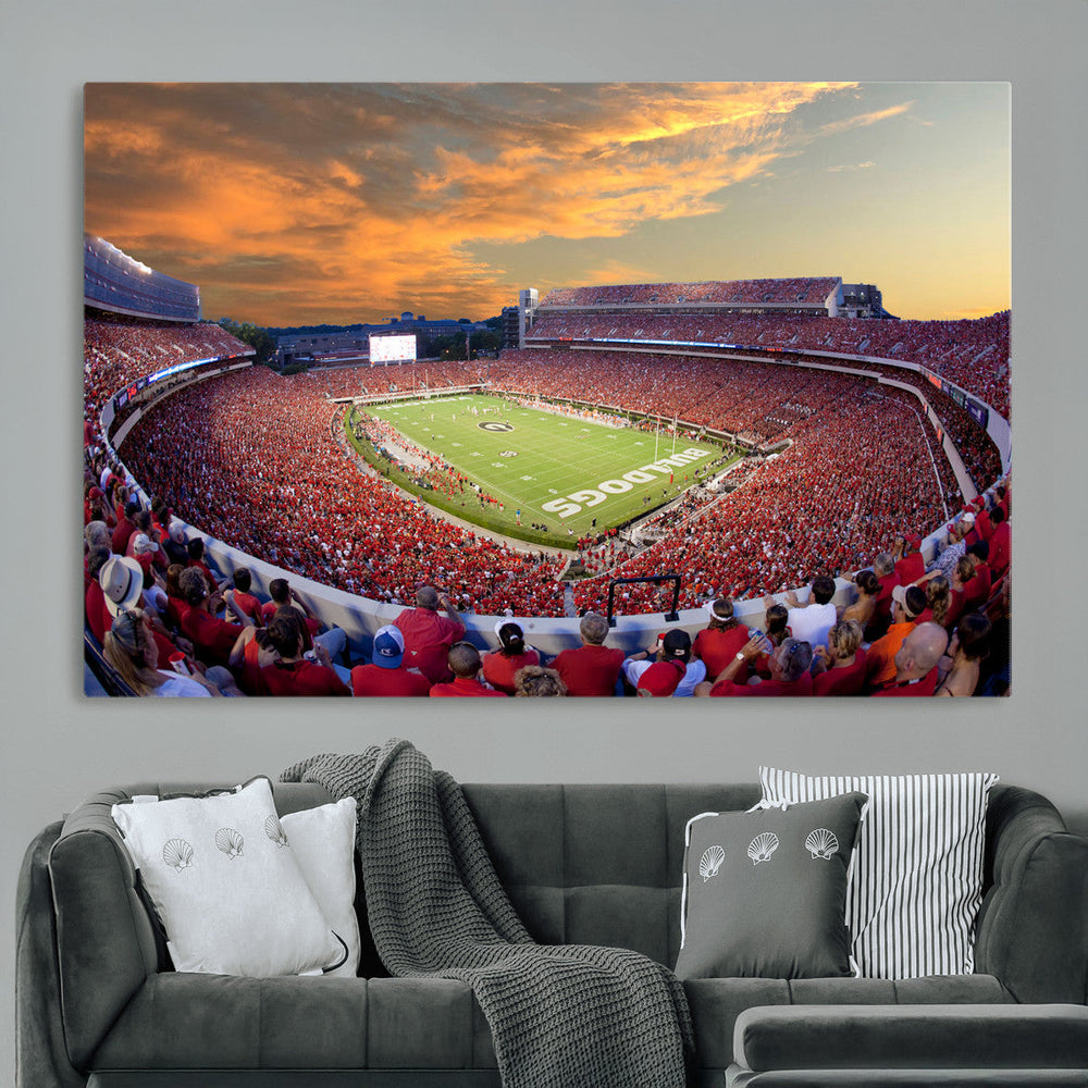 Dooley Stadium Wall Art, Sports Arena Canvas Print, Dooley