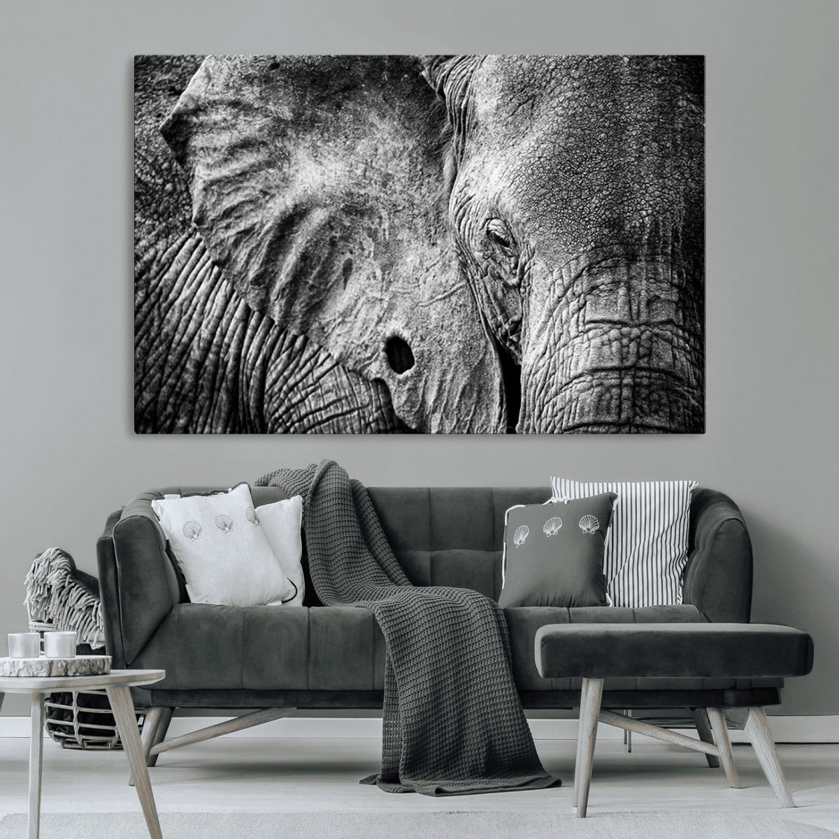 Wild Old Elephant Wall Art Canvas Print