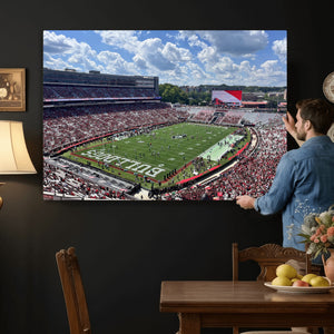 Georgia Bulldogs Stadium Wall Art Canvas Print, Sanford