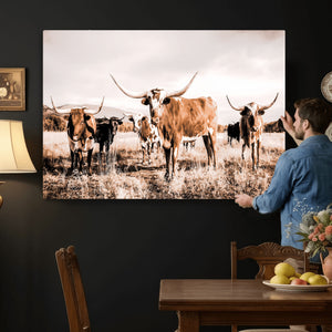 Texas Longhorn Cattle Wall Art Canvas Print, Sepia Western