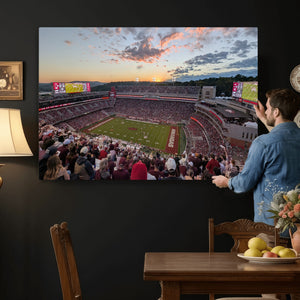 Donald W. Reynolds Razorback Stadium Wall Art Canvas Print –