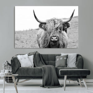 Newfoundland Cow Art Wall Art, Black White Cow Art Wall Art