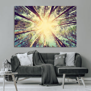 Tree and Sunshine Canvas Print