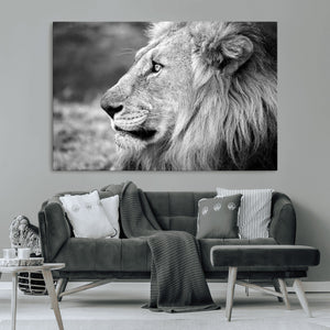 Lion Wall Art Canvas Print – Framed Majestic Wildlife