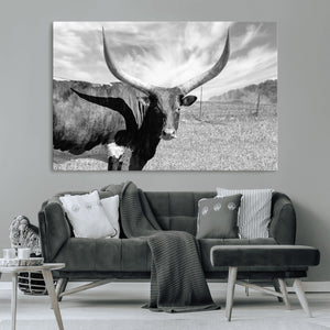 Cattle Wall Art Longhorn Cow Canvas Print