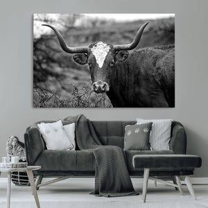 Western Home Wall Art Canvas Print, Framed Texas Longhorn