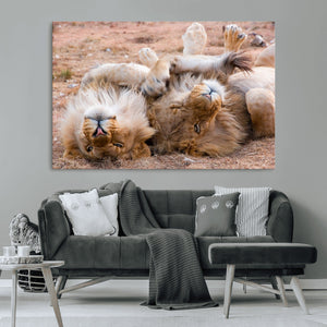Lion Pair Wall Art Canvas Print – Framed Wildlife Scene with