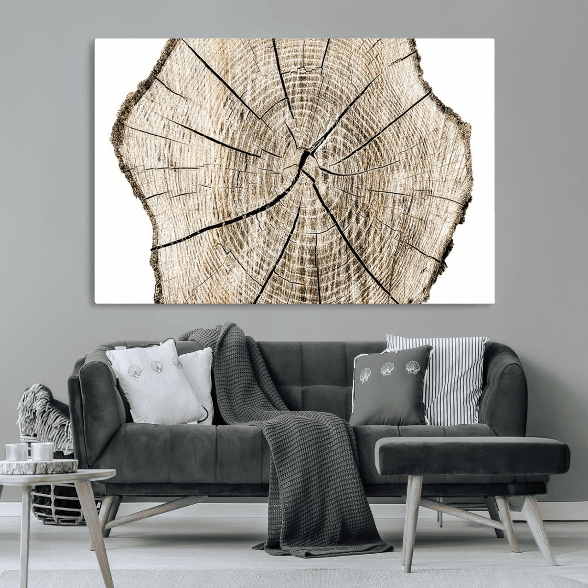 Abstract Wood Tree Ring Wall Art - Ready to Hang Minimalist