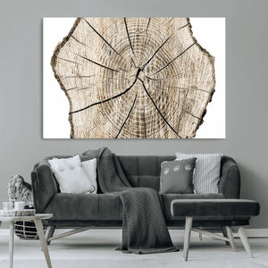 Abstract Wood Tree Ring Wall Art - Ready to Hang Minimalist