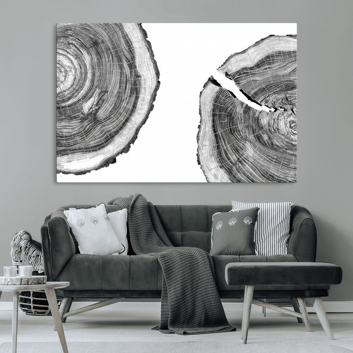 Abstract Large Tree Rings – Minimalist Black and White Wood
