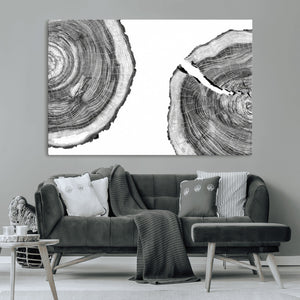 Abstract Large Tree Rings – Minimalist Black and White Wood
