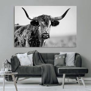 Texas Highland Cow Longhorn Canvas Print - Rustic Farmhouse