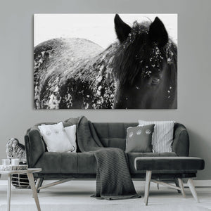 Black Horse in Snow Canvas Print | Winter Horse Wall Art |