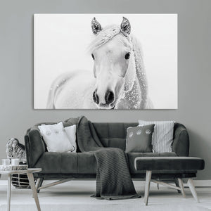 Majestic White Horse Wall Art | Ready to Hang and Framed |