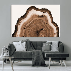 Rustic Wood Rings Wall Art | Nature-Inspired Tree Ring