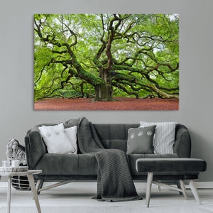 Framed Angel Oak Tree Wall Art - 3-Panel Canvas Prints,