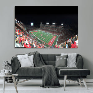 Houston Cougars Football Team Print - Houston TDECU Stadium